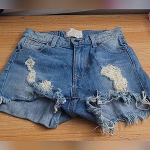 Vice Denim Distressed Shorts